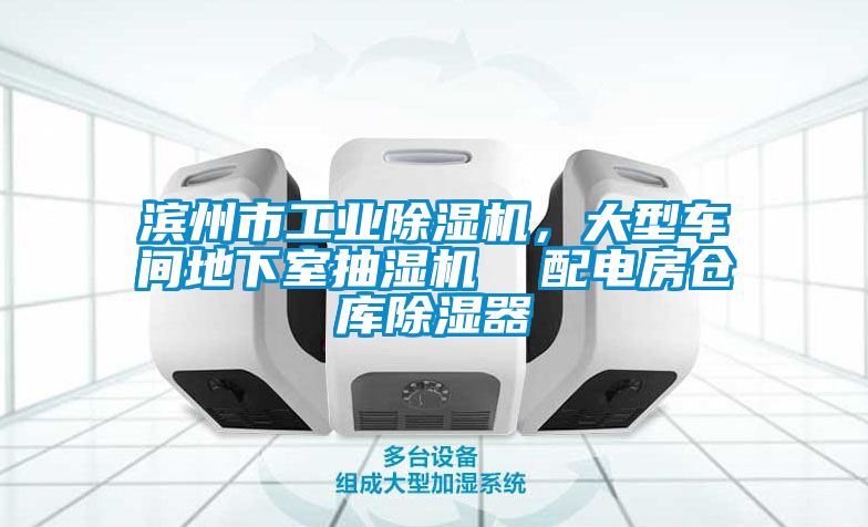 滨州市工业黄瓜视频下载污机，大型车间地下室抽湿机  配电房仓库黄瓜视频下载污器