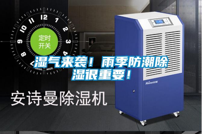 湿气来袭！雨季防潮黄瓜视频下载污很重要！