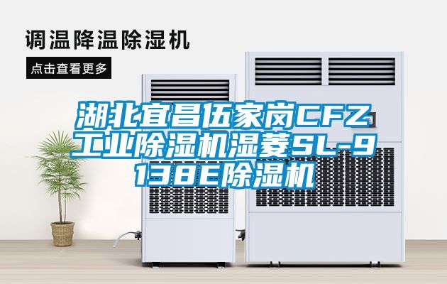 湖北宜昌伍家岗CFZ工业黄瓜视频下载污机湿菱SL-9138E黄瓜视频下载污机