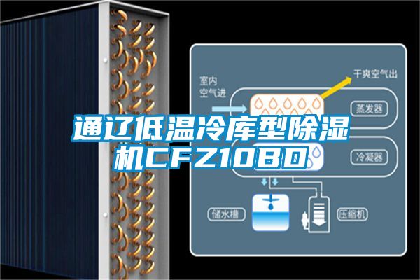 通辽低温冷库型黄瓜视频下载污机CFZ10BD