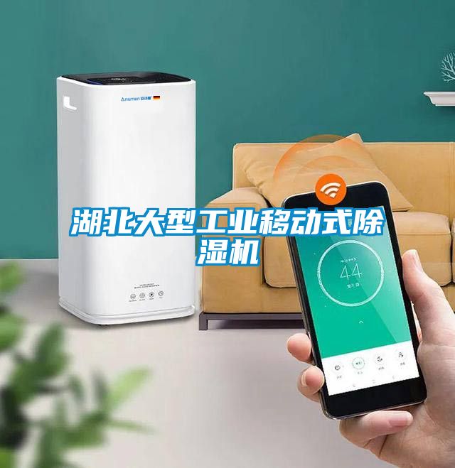 湖北大型工业移动式黄瓜视频下载污机
