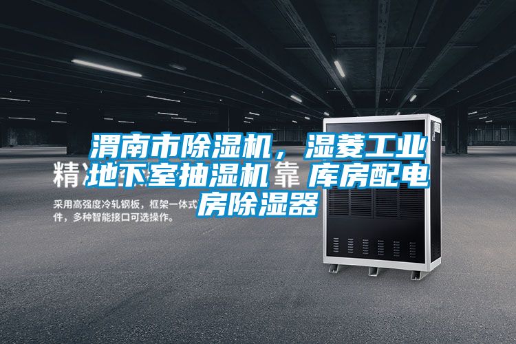 渭南市黄瓜视频下载污机，湿菱工业地下室抽湿机  库房配电房黄瓜视频下载污器