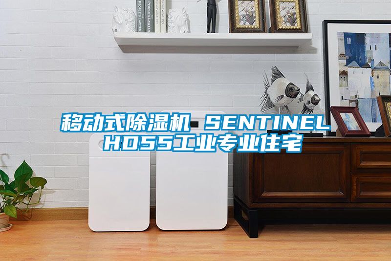 移动式黄瓜视频下载污机 SENTINEL HD55工业专业住宅