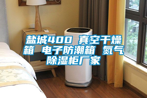 盐城400℃真空干燥箱 电子防潮箱 氮气黄瓜视频下载污柜厂家