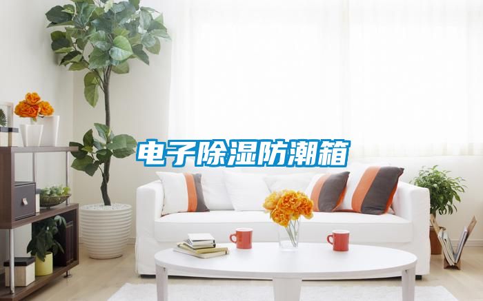 电子黄瓜视频下载污防潮箱