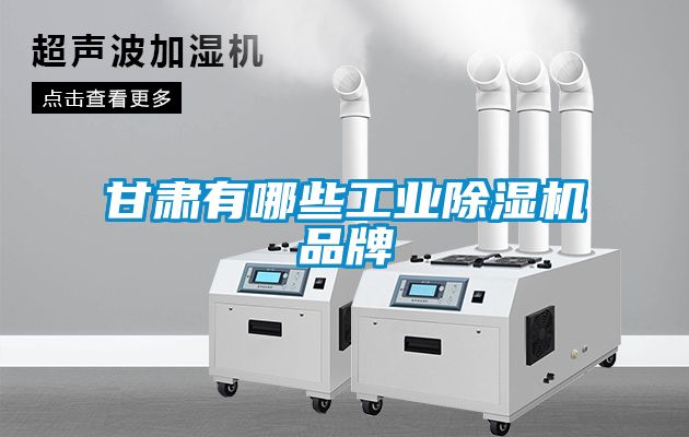 甘肃有哪些工业黄瓜视频下载污机品牌