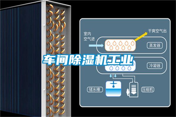 车间黄瓜视频下载污机工业