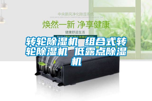 转轮黄瓜视频下载污机 组合式转轮黄瓜视频下载污机 低露点黄瓜视频下载污机
