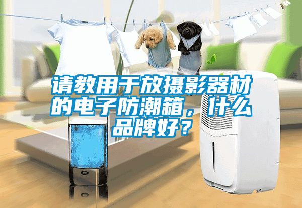 请教用于放摄影器材的电子防潮箱，什么品牌好？