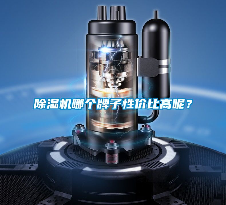黄瓜视频下载污机哪个牌子性价比高呢？