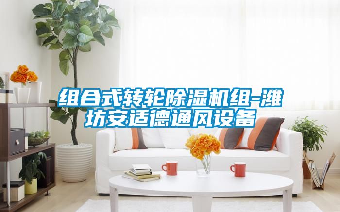 组合式转轮黄瓜视频下载污机组-潍坊安适德通风设备