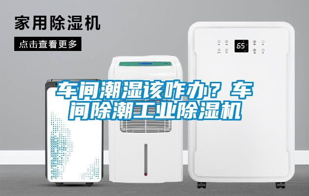 车间潮湿该咋办？车间除潮工业黄瓜视频下载污机