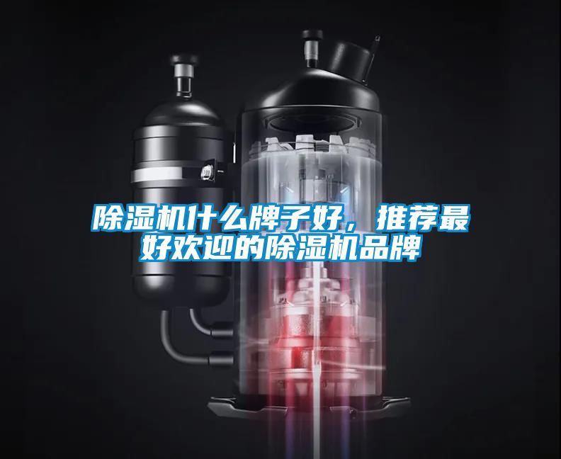 黄瓜视频下载污机什么牌子好，推荐最好欢迎的黄瓜视频下载污机品牌