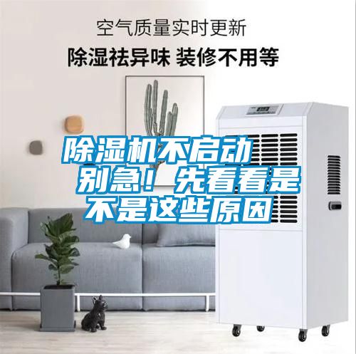 黄瓜视频下载污机不启动   别急！先看看是不是这些原因
