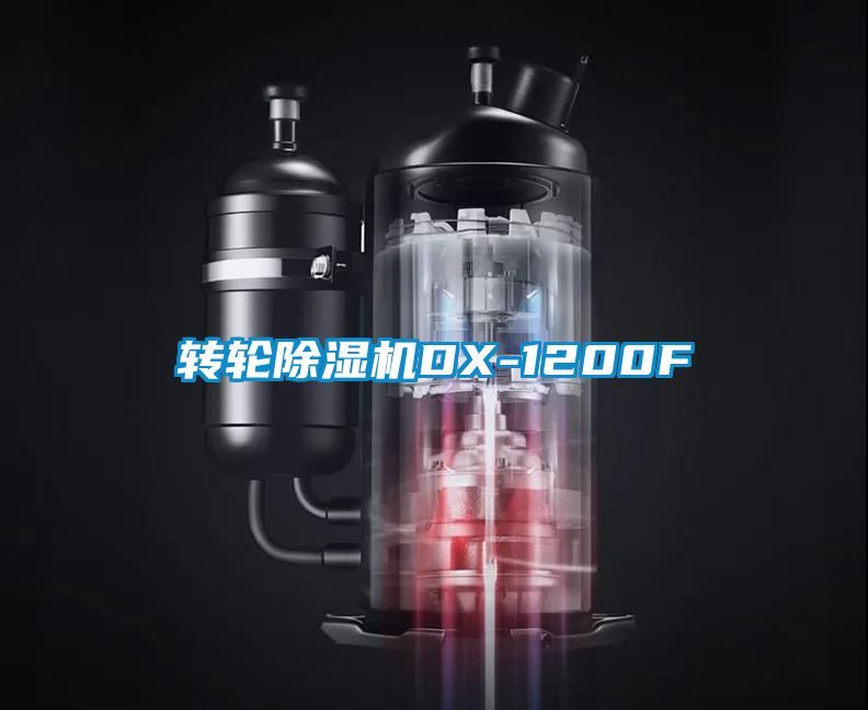 转轮黄瓜视频下载污机DX-1200F
