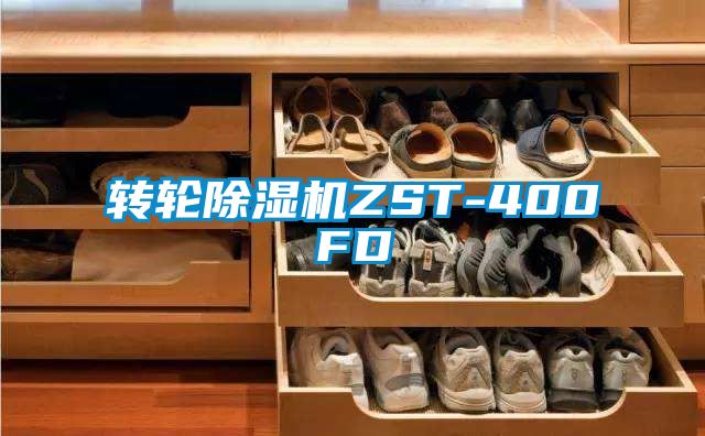 转轮黄瓜视频下载污机ZST-400FD