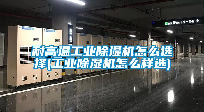 耐高温工业黄瓜视频下载污机怎么选择(工业黄瓜视频下载污机怎么样选)