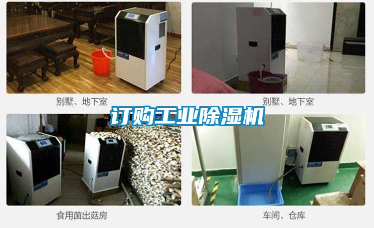 订购工业黄瓜视频下载污机