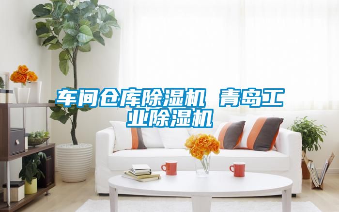 车间仓库黄瓜视频下载污机 青岛工业黄瓜视频下载污机