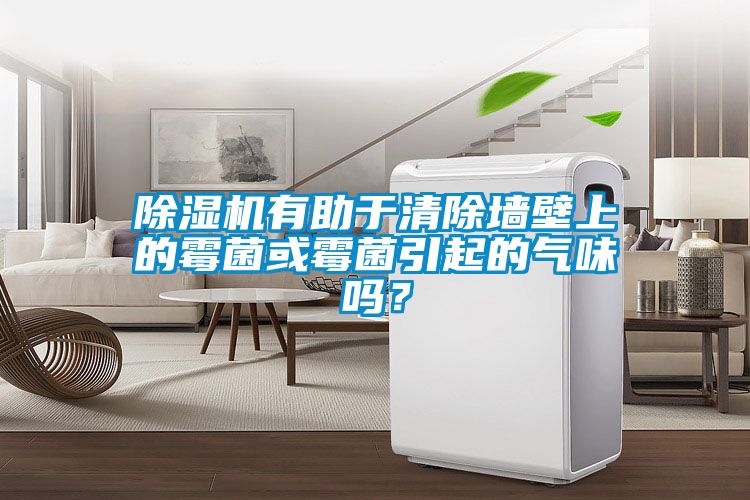 黄瓜视频下载污机有助于清除墙壁上的霉菌或霉菌引起的气味吗？