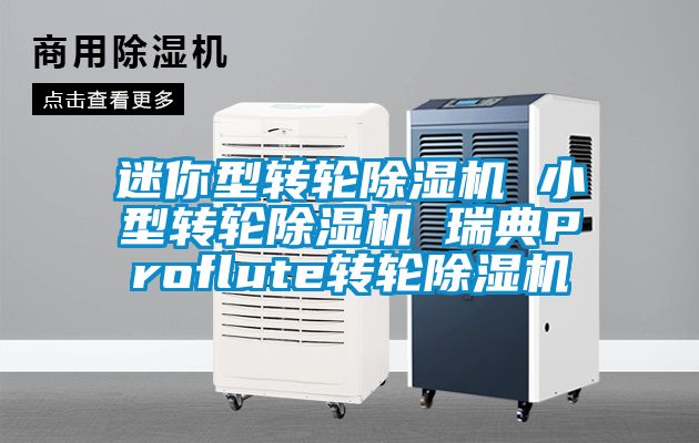 迷你型转轮黄瓜视频下载污机 小型转轮黄瓜视频下载污机 瑞典Proflute转轮黄瓜视频下载污机