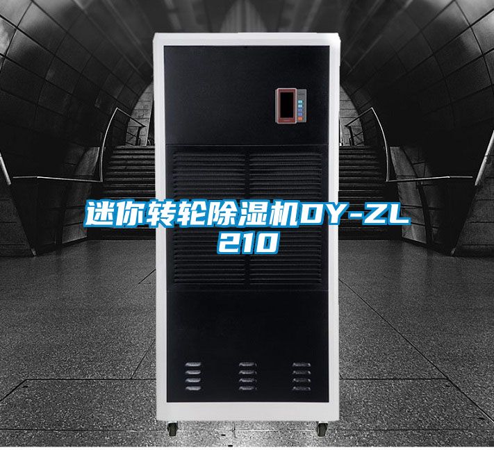 迷你转轮黄瓜视频下载污机DY-ZL210