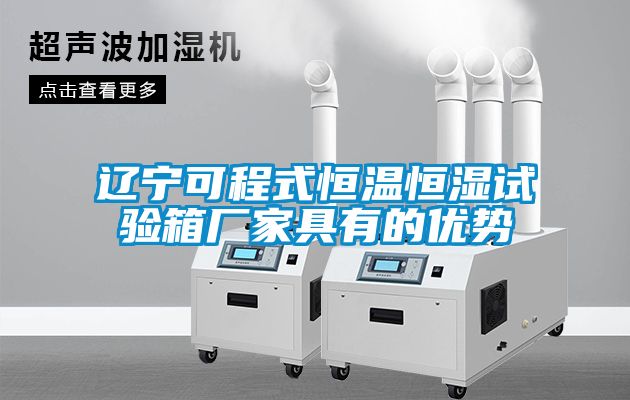辽宁可程式恒温恒湿试验箱厂家具有的优势