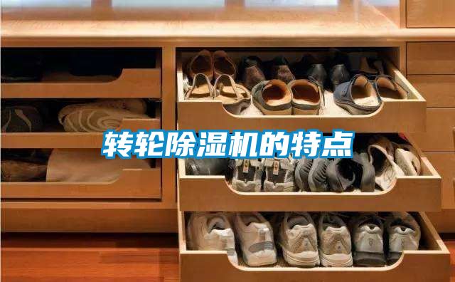 转轮黄瓜视频下载污机的特点