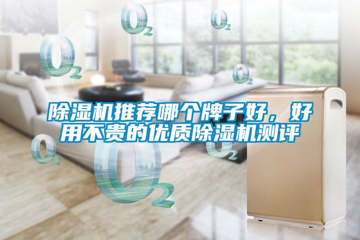 黄瓜视频下载污机推荐哪个牌子好，好用不贵的优质黄瓜视频下载污机测评