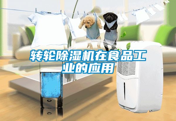 转轮黄瓜视频下载污机在食品工业的应用