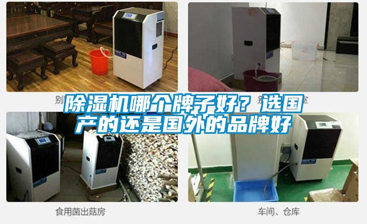 黄瓜视频下载污机哪个牌子好？选国产的还是国外的品牌好