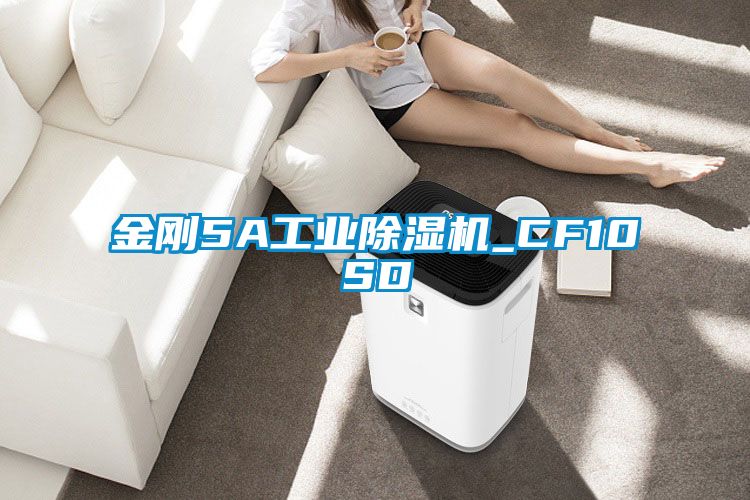 金刚5A工业黄瓜视频下载污机_CF10SD