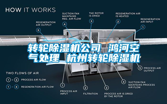 转轮黄瓜视频下载污机公司 鸿河空气处理 杭州转轮黄瓜视频下载污机