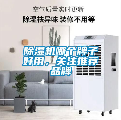 黄瓜视频下载污机哪个牌子好用，关注推荐品牌