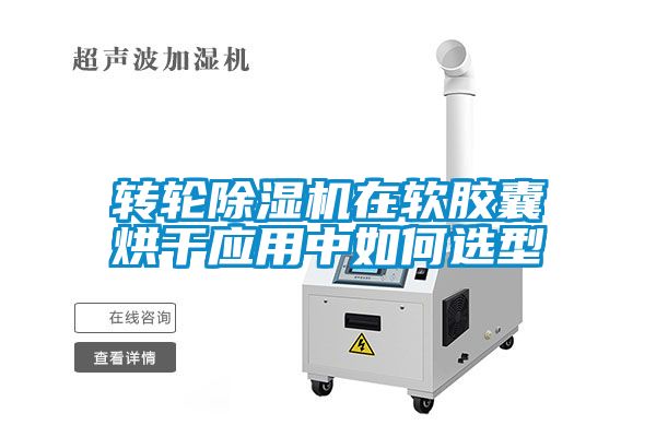 转轮黄瓜视频下载污机在软胶囊烘干应用中如何选型
