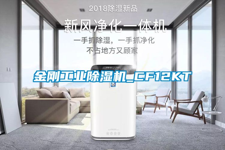 金刚工业黄瓜视频下载污机_CF12KT