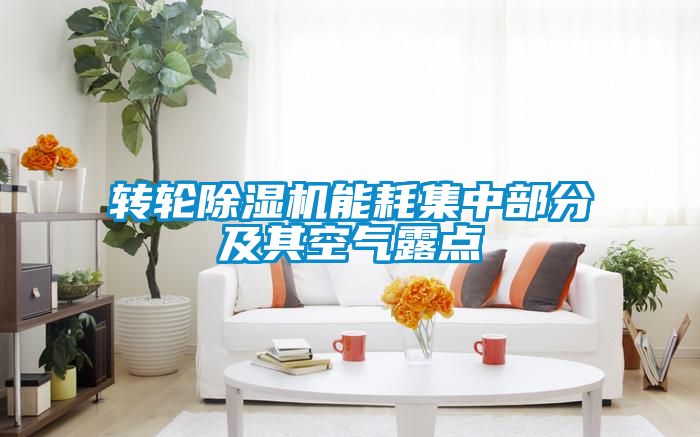 转轮黄瓜视频下载污机能耗集中部分及其空气露点