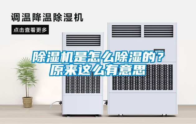 黄瓜视频下载污机是怎么黄瓜视频下载污的？原来这么有意思