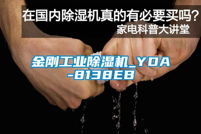 金刚工业黄瓜视频下载污机_YDA-8138EB