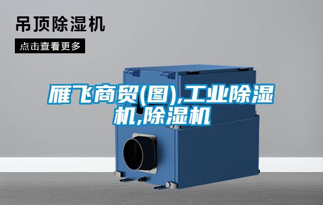 雁飞商贸(图),工业黄瓜视频下载污机,黄瓜视频下载污机