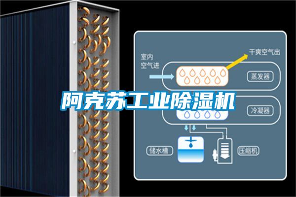 阿克苏工业黄瓜视频下载污机