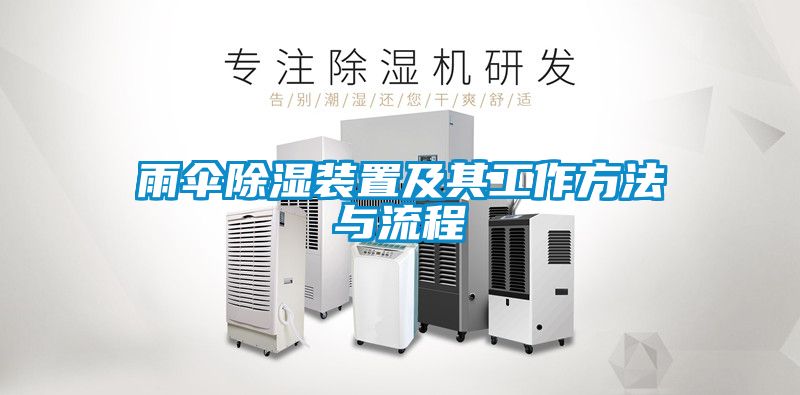 雨伞黄瓜视频下载污装置及其工作方法与流程