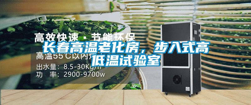 长春高温老化房，步入式高低温试验室