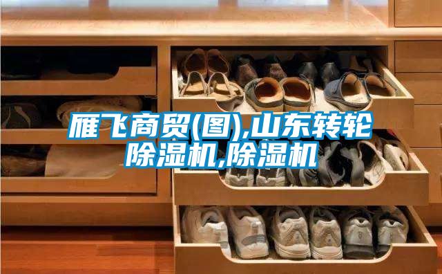 雁飞商贸(图),山东转轮黄瓜视频下载污机,黄瓜视频下载污机