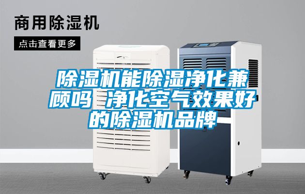 黄瓜视频下载污机能黄瓜视频下载污净化兼顾吗 净化空气效果好的黄瓜视频下载污机品牌
