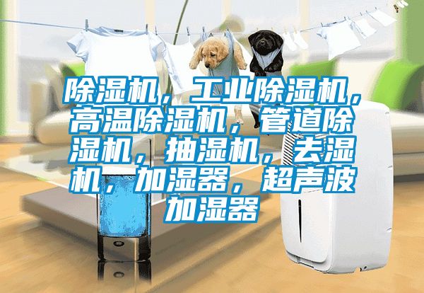 黄瓜视频下载污机，工业黄瓜视频下载污机，高温黄瓜视频下载污机，管道黄瓜视频下载污机，抽湿机，去湿机，加湿器，超声波加湿器