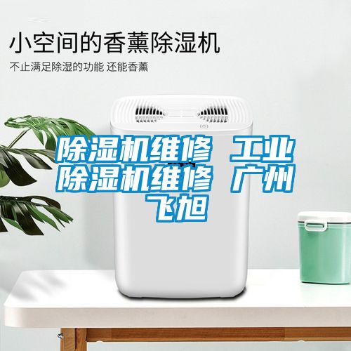 黄瓜视频下载污机维修 工业黄瓜视频下载污机维修 广州飞旭