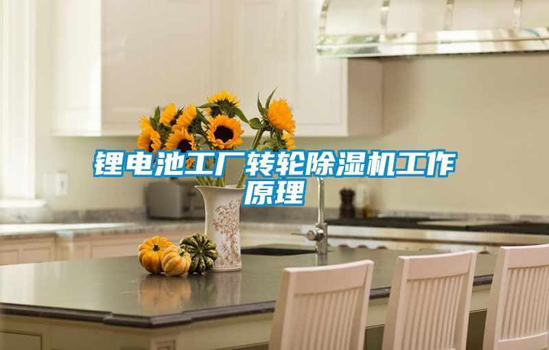 锂电池工厂转轮黄瓜视频下载污机工作原理