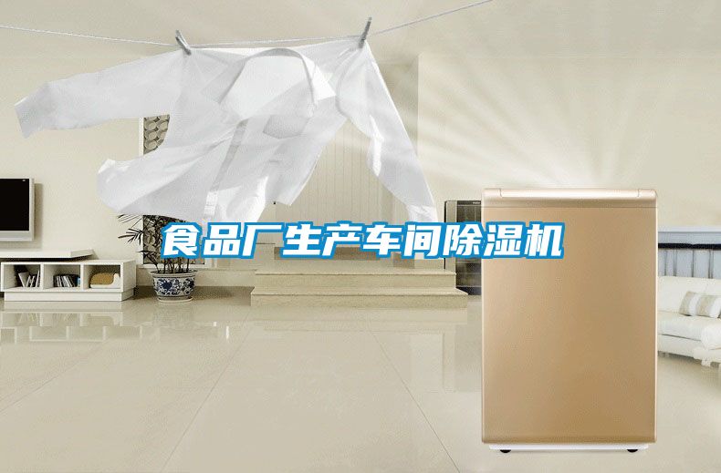 食品厂生产车间黄瓜视频下载污机