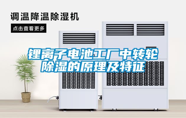 锂离子电池工厂中转轮黄瓜视频下载污的原理及特征